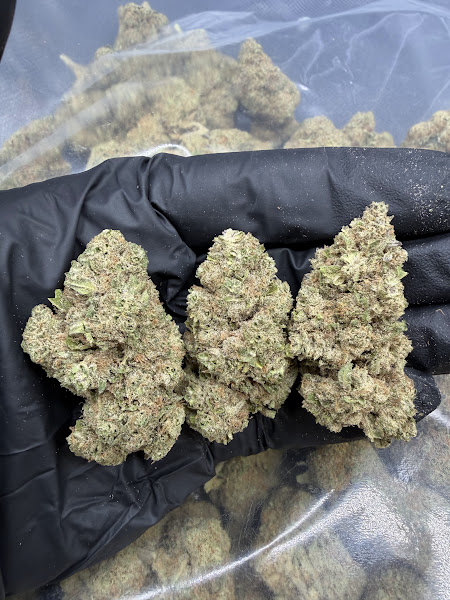 Platinum Cookies CBG