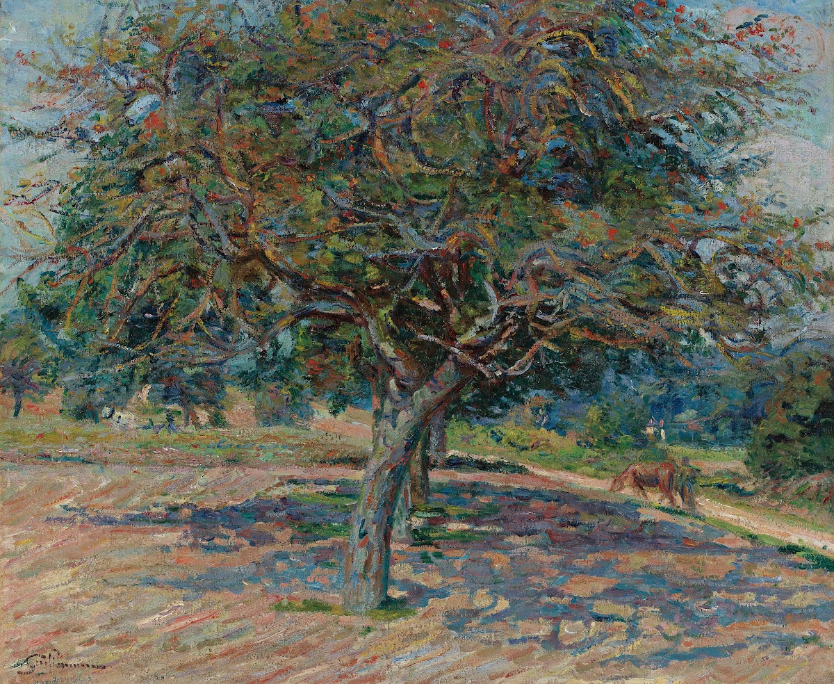 Arbres En Île De France 1878