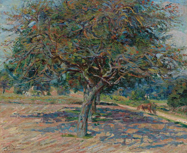 Arbres En Île De France 1878