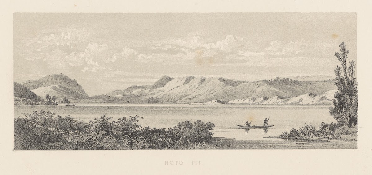 New Zealand Graphic and Descriptive Plate III Roto iti 1877