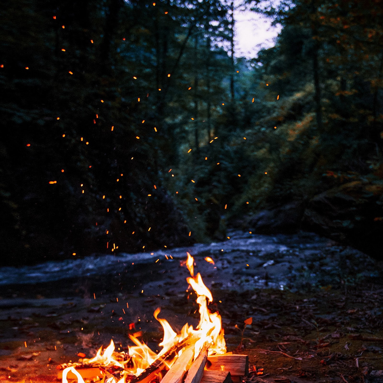 Download Campfire, Camping, Nature, Forest Full HD iPhone
