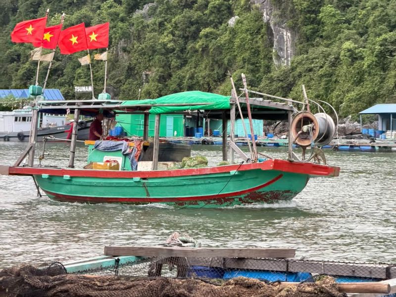 Lang chai cai beo