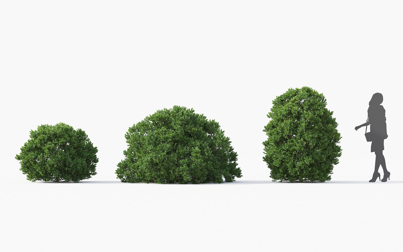 Maxtree - Plant Models Vol.28