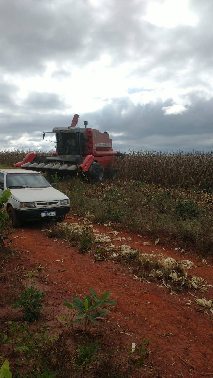 Fazenda no Município de Diamantina - MG 5