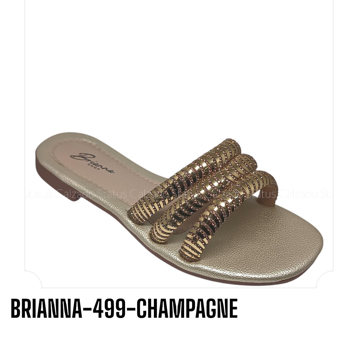 BRIANNA-499-CHAMPAGNE