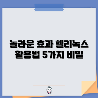헬리녹스터널, 헬리녹스터널 효과, 건강 초보, 헬리녹스터널 사용법, 헬리녹스터널 연구