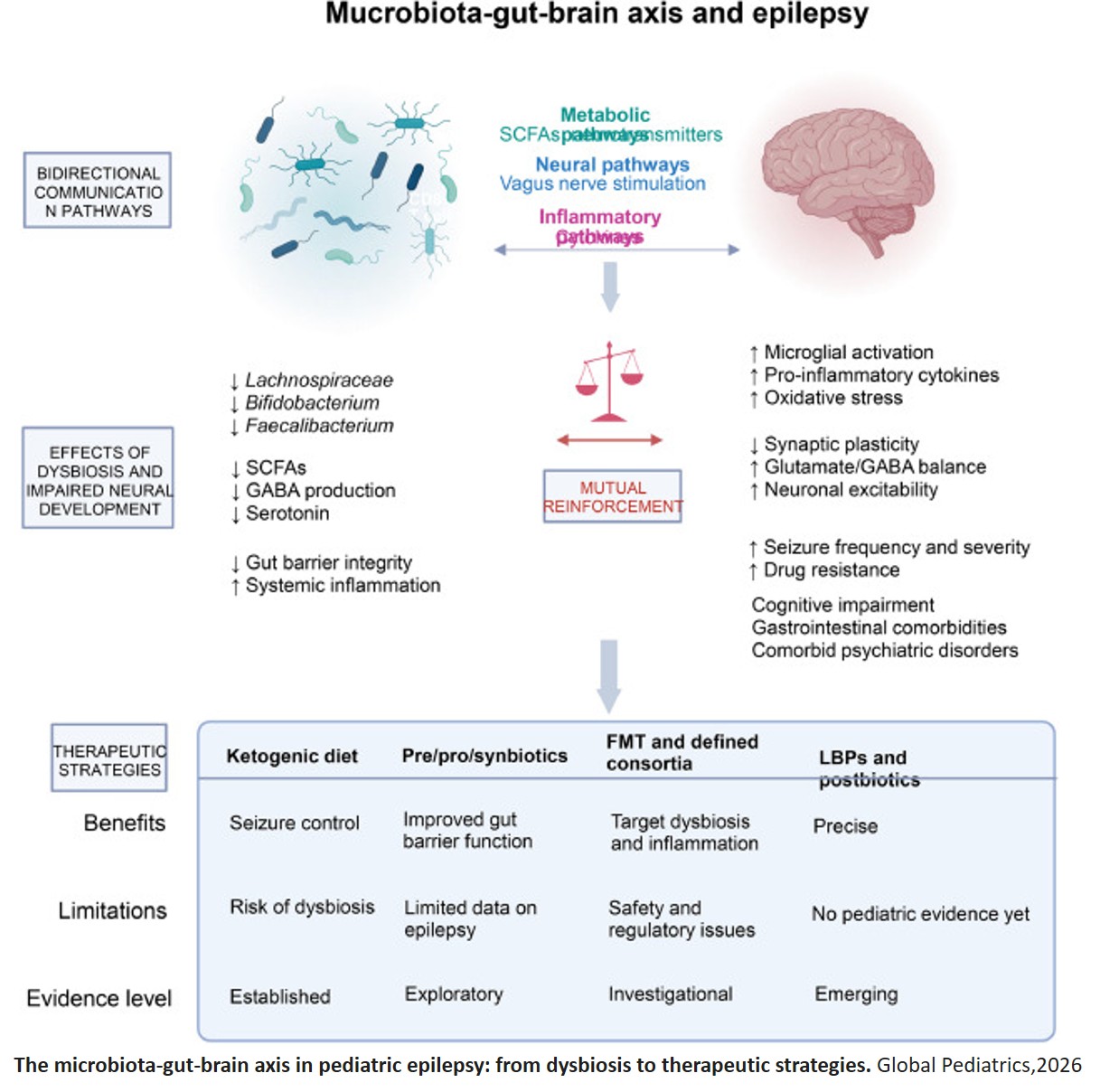 Harnessing the Gut Microbiota: New Frontiers in Treating Childhood Epilepsy