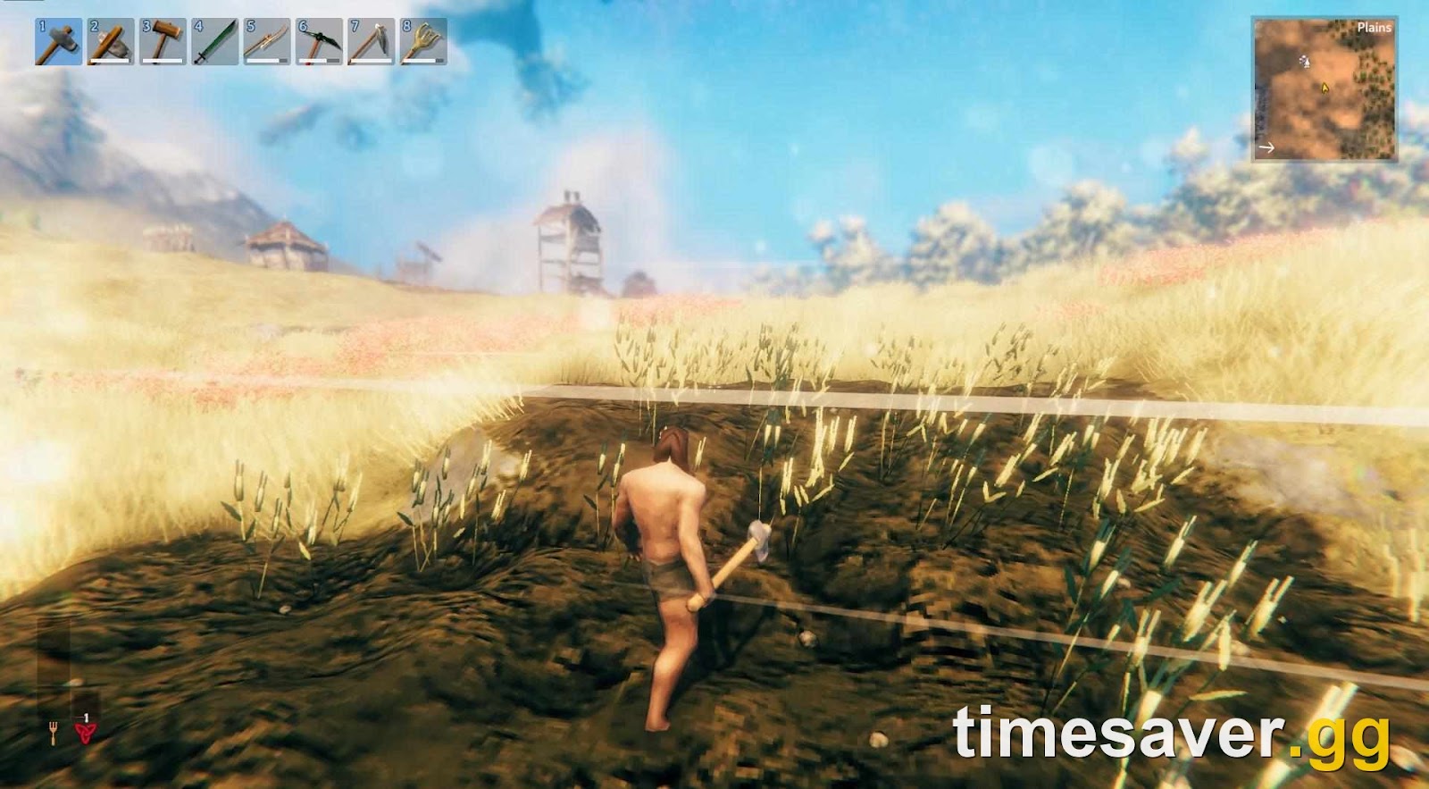 Barley and flax growing on cultivated soil in the yellow Plains biome in Valheim