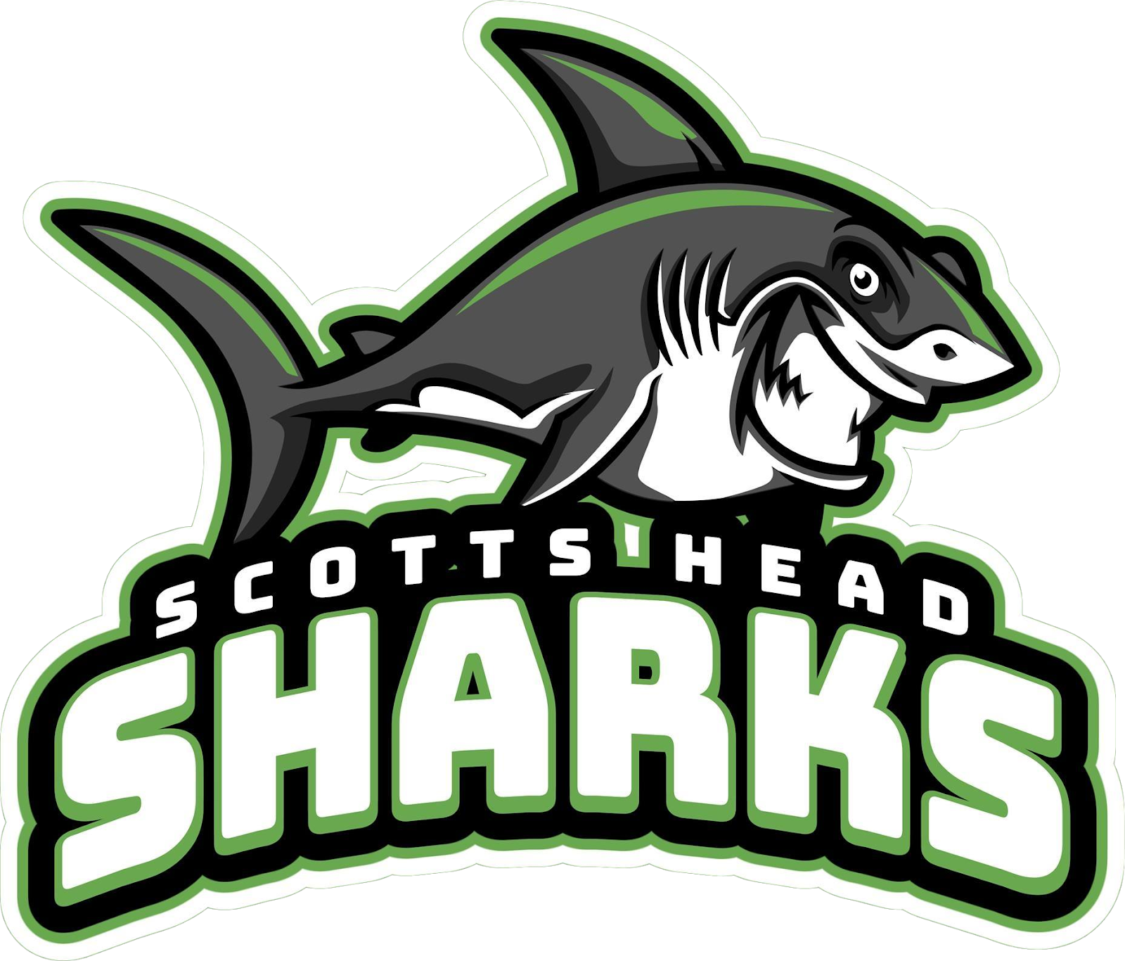 Scotts Head Sharks logo