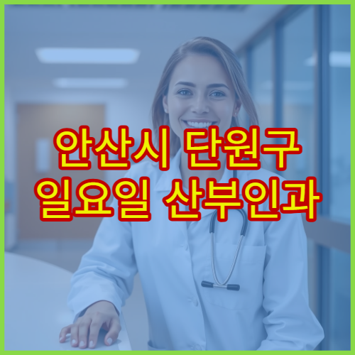 안산시 단원구 일요일 산부인과 진료 병원 여성질환·검진 상담 가능