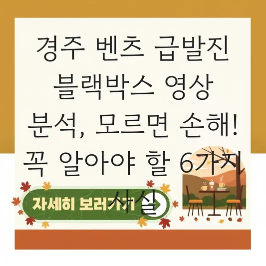 경주 벤츠 급발진 블랙박스 영상 분석