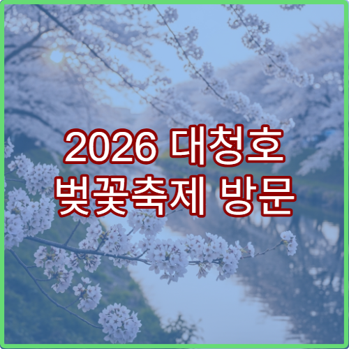 2026 대청호 벚꽃축제 방문 후기와 재방문 꿀팁 A to Z
