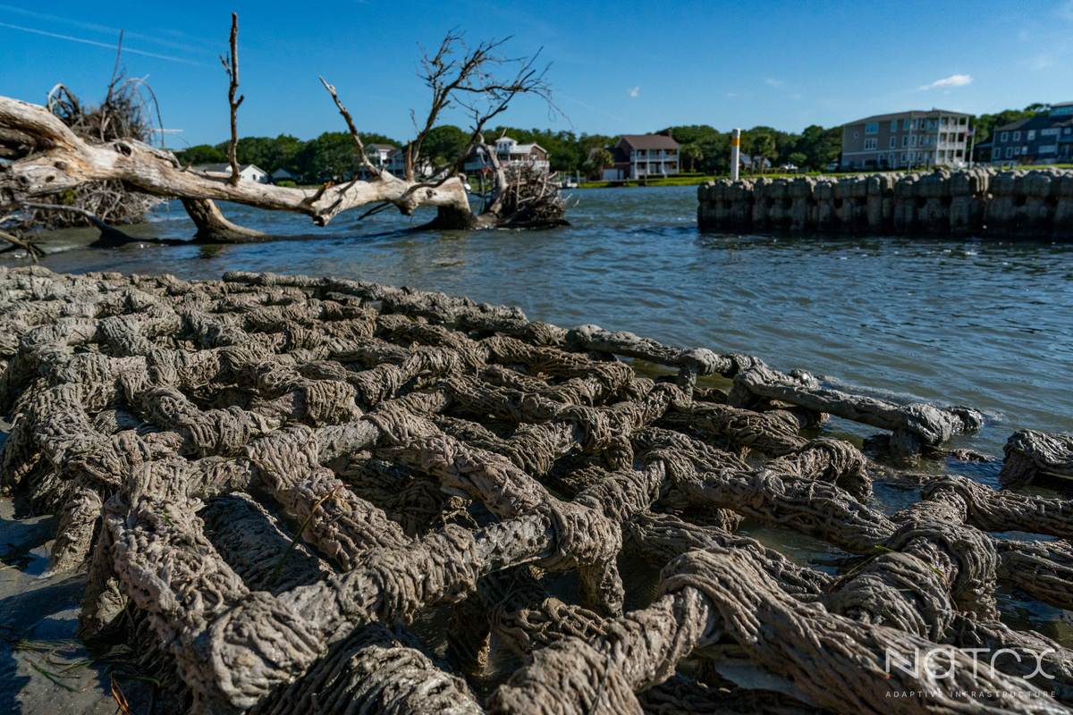 MY PRO PHOTOGRAPHER (126 of 243).jpg