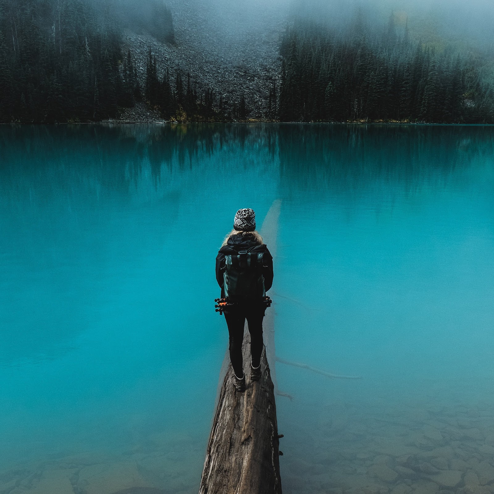 Download Tree, Loch, Reflection, Sky, Water 5K iPhone