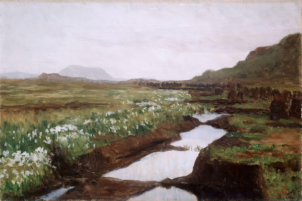 Study of a Peat Bog on Jæren ca 1897