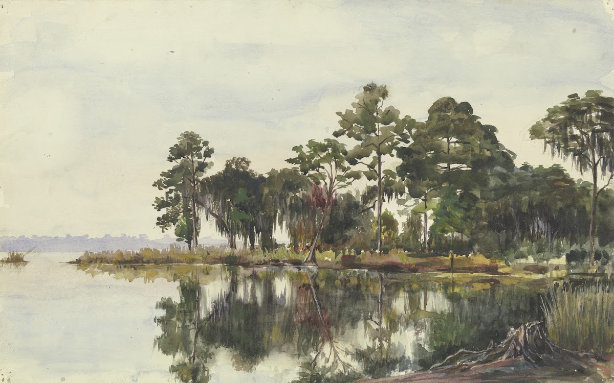 Baumschlag am Wasser Jacksonville November 29 1904