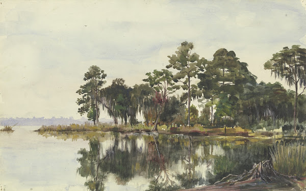 Baumschlag am Wasser Jacksonville November 29 1904