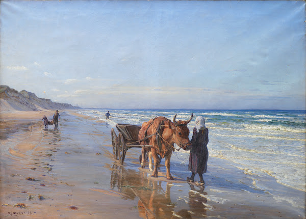 The Coastal Inhabitants Set Sail In The Landing 1898