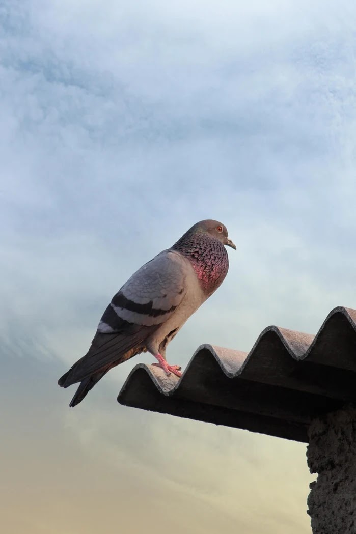 무료 AI 생성 툴 실사용 후기와 기능별 추천 기준