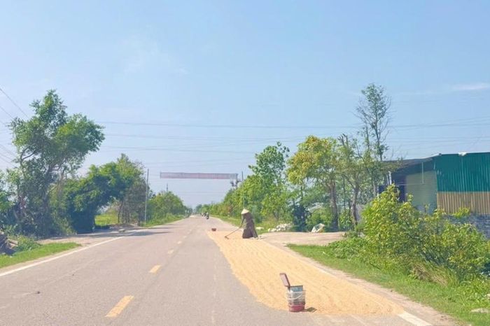 Nguy hiểm từ hành vi phơi thóc trên lòng đường - Đài Phát thanh và truyền hình Hà Nội