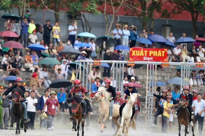 Khai mạc Festival Cao nguyên trắng Bắc Hà 2026 - Báo Lào Cai
