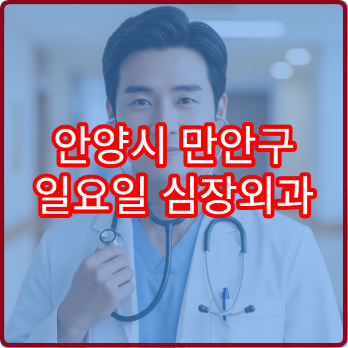 안양시 만안구 일요일 심장외과 진료 병원 심근경색·대동맥류 상담 가능