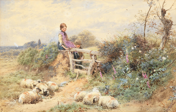 Minding sheep
