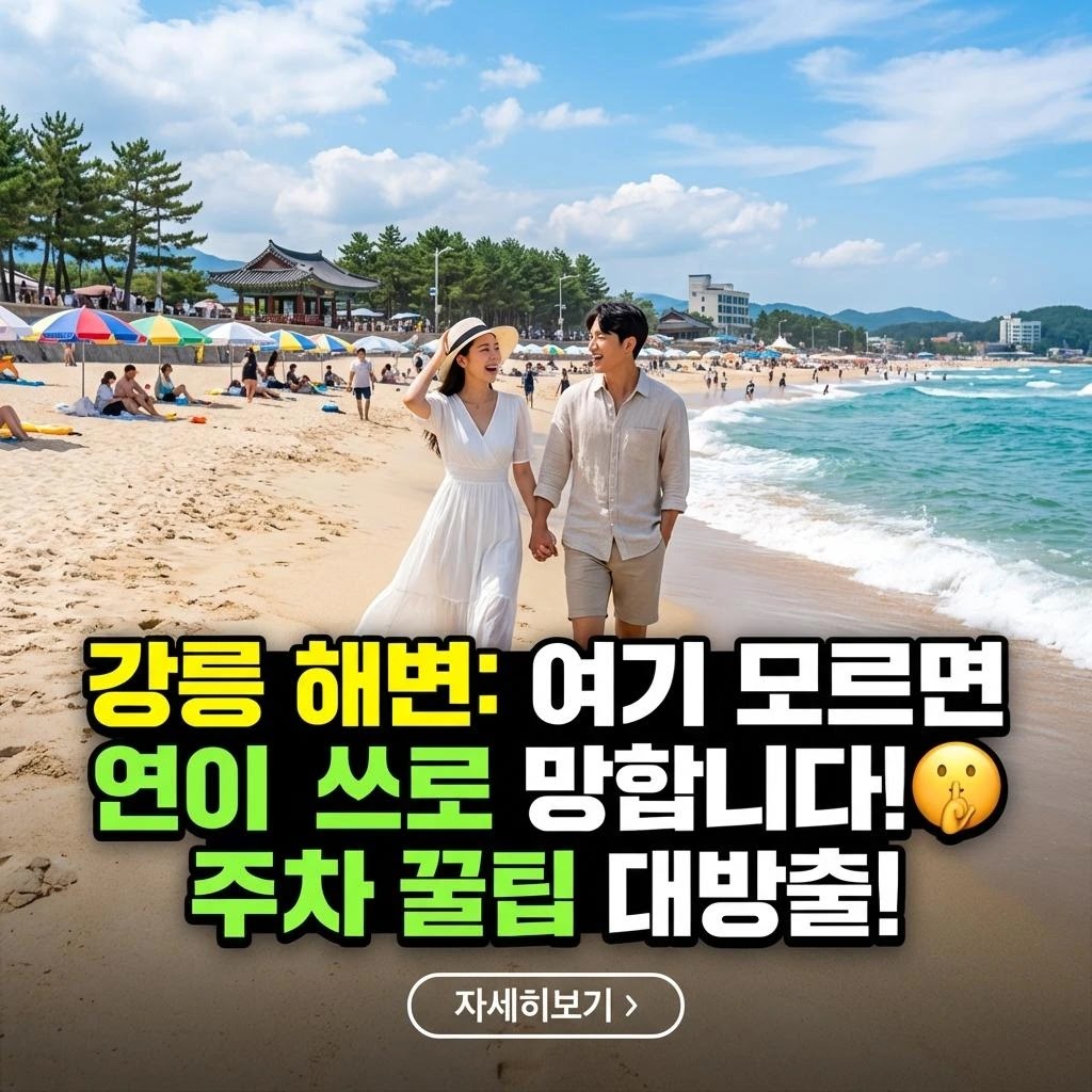 강릉 해변 여행: 2026년 최신! 완벽 가이드 7단계