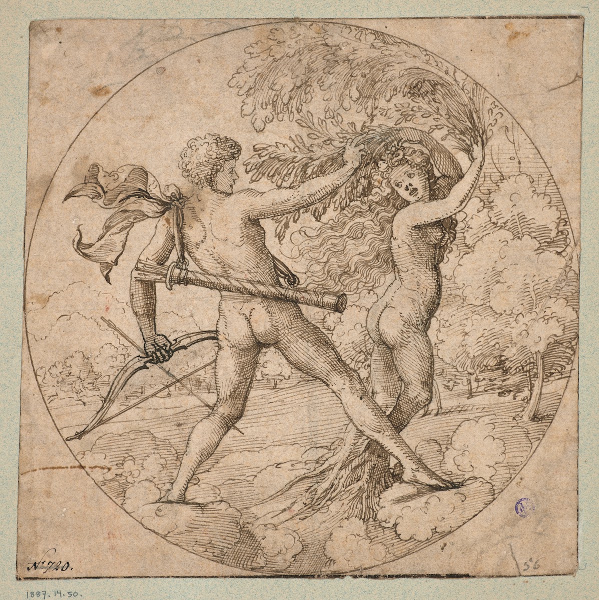 Apollo Und Daphne Im Rund