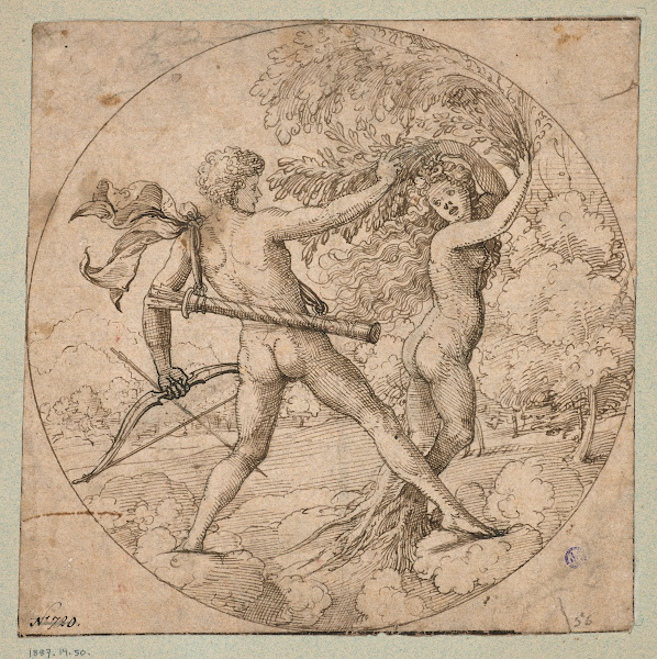 Apollo Und Daphne Im Rund