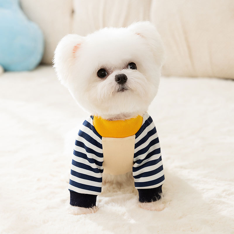 Four-legged hoodie for small dogs