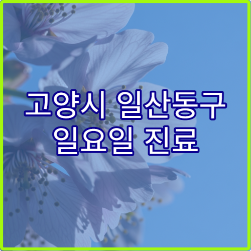 고양시 일산동구 일요일 진료 한의원 침 치료·한방 통증 치료 가능