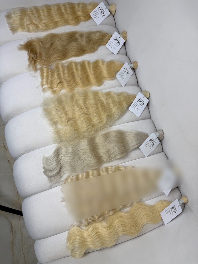 Colored Standard Blonde 55-57cm
