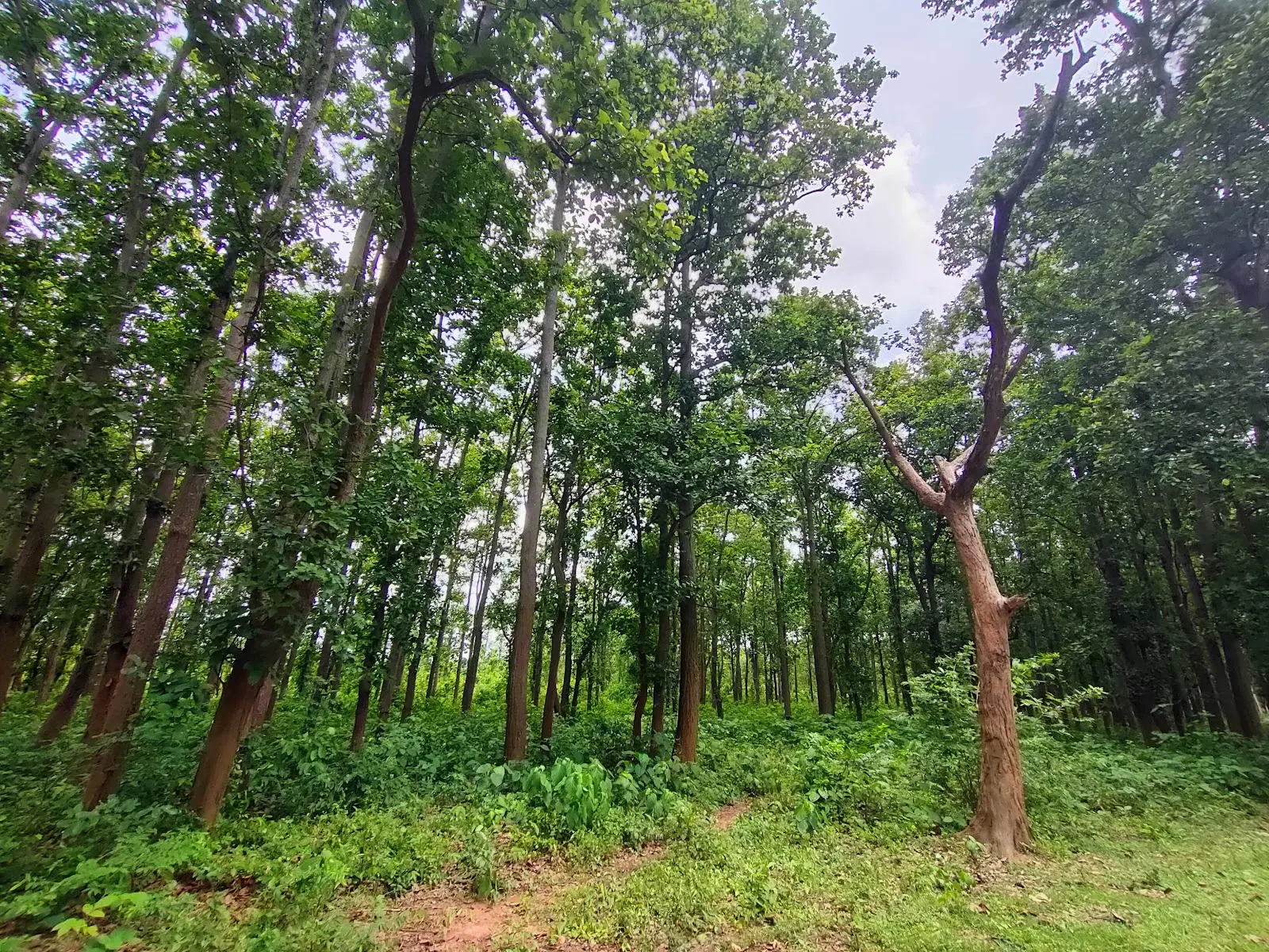 Joypur