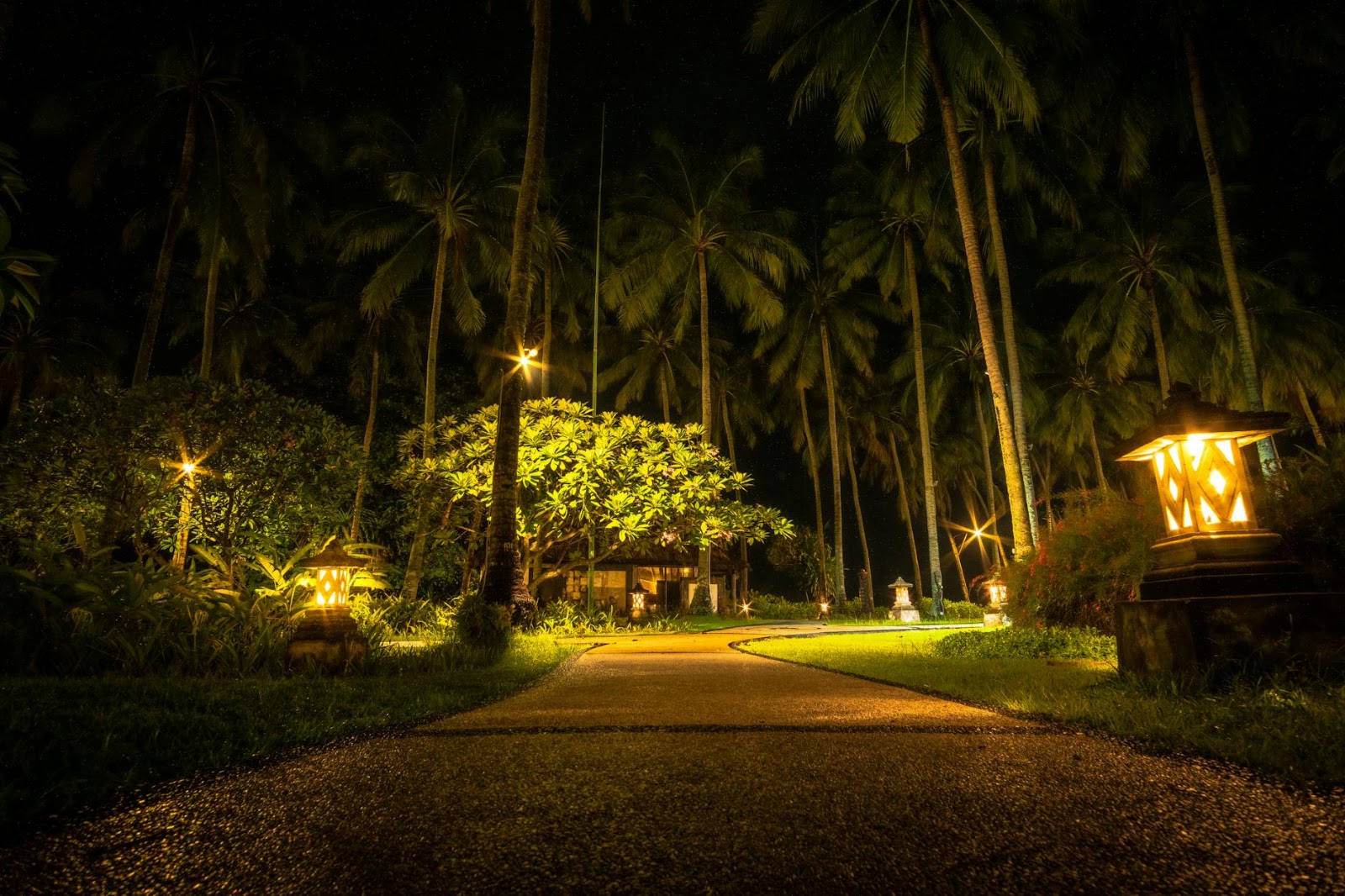 An illuminated path representing the promising future and opportunities within Web3 development trends.