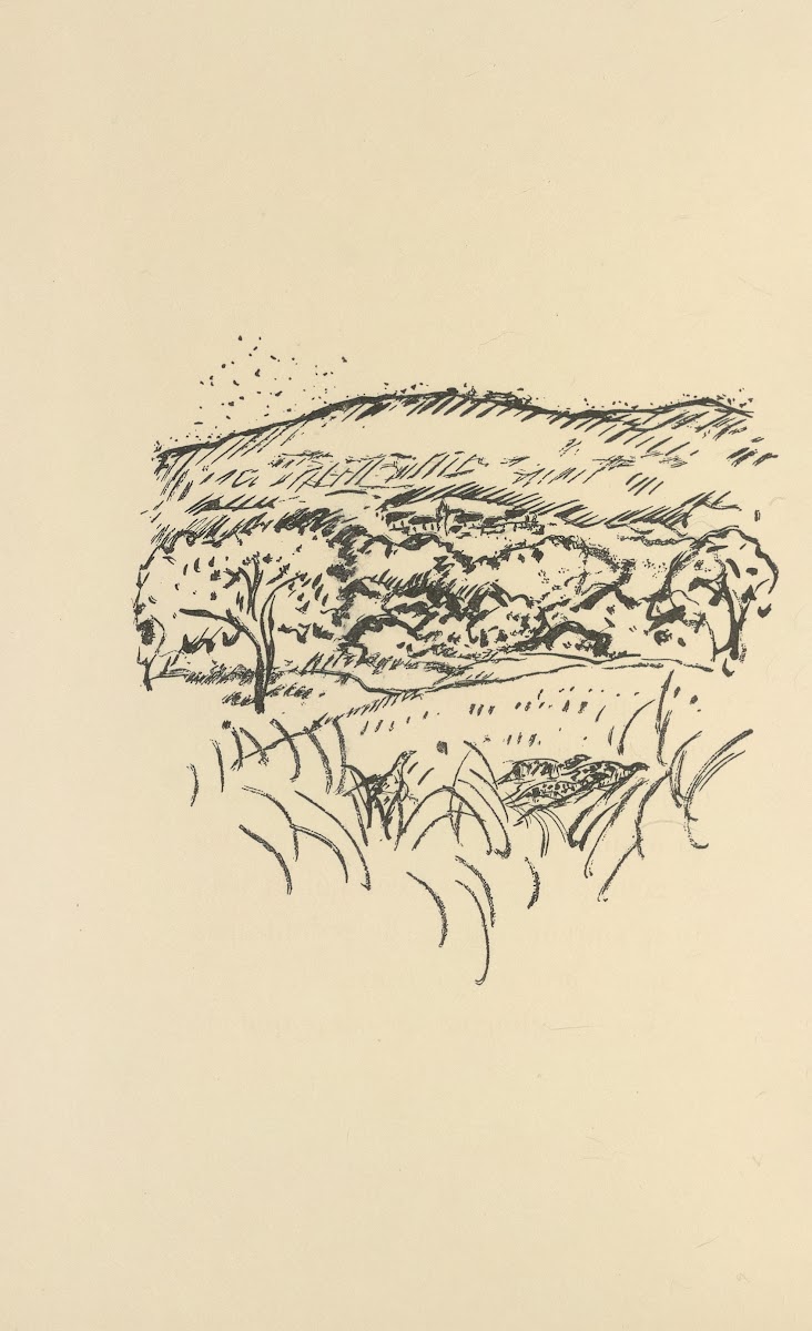 Histoires naturelles Pl 61 1922