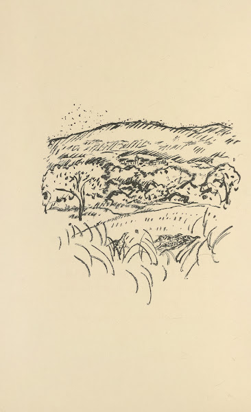 Histoires naturelles Pl 61 1922