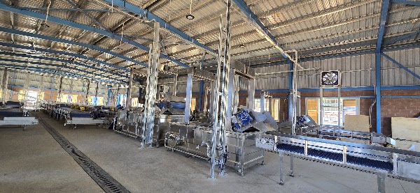 SANAM world-first automated sugarcane seedling factory for the Ministry of Agriculture