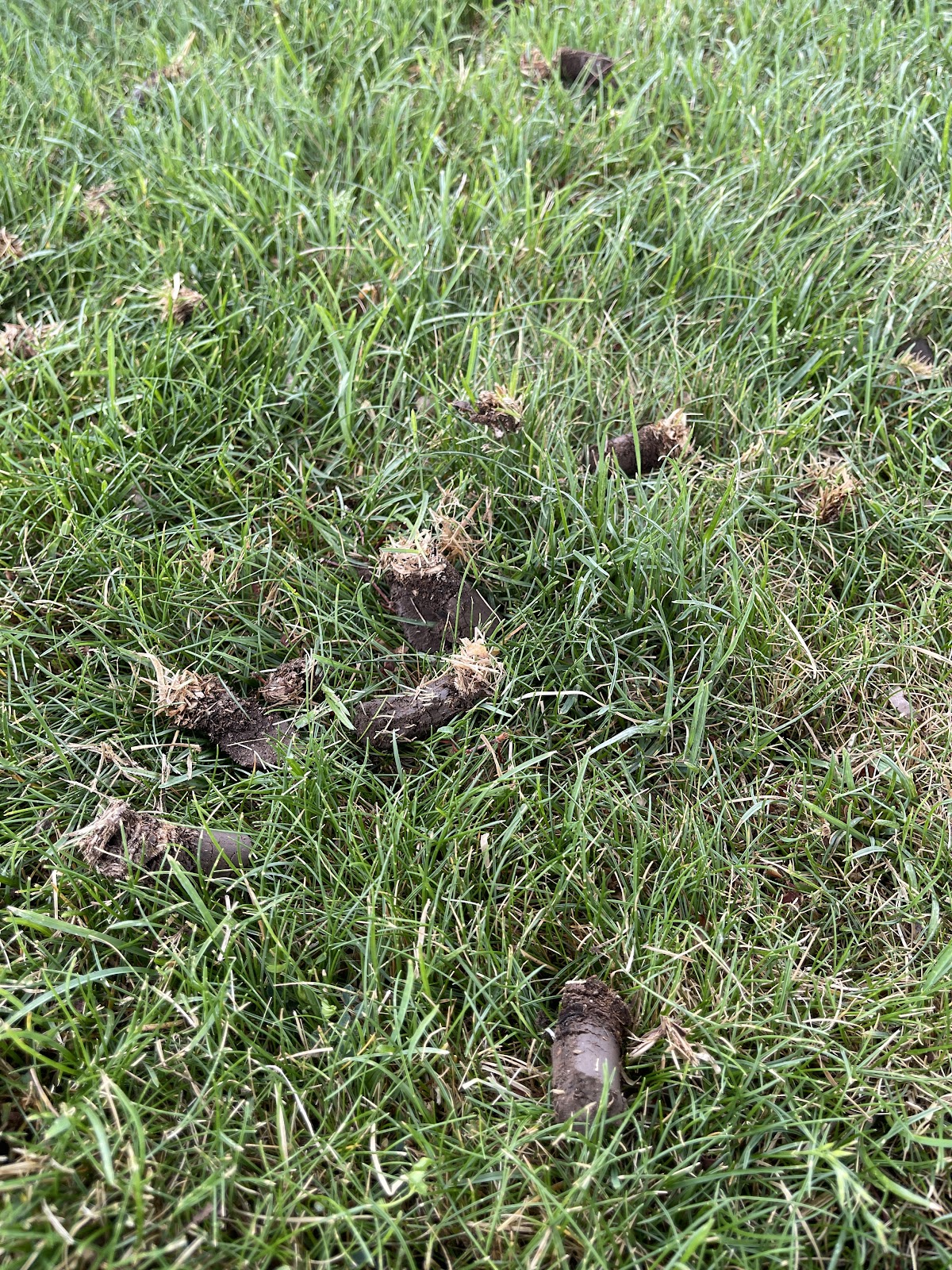 Ut lawn Care work portfolio 2