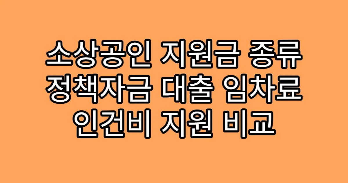 소상공인 지원금 종류 정책자금 대출 임차료 인건비 지원 비교