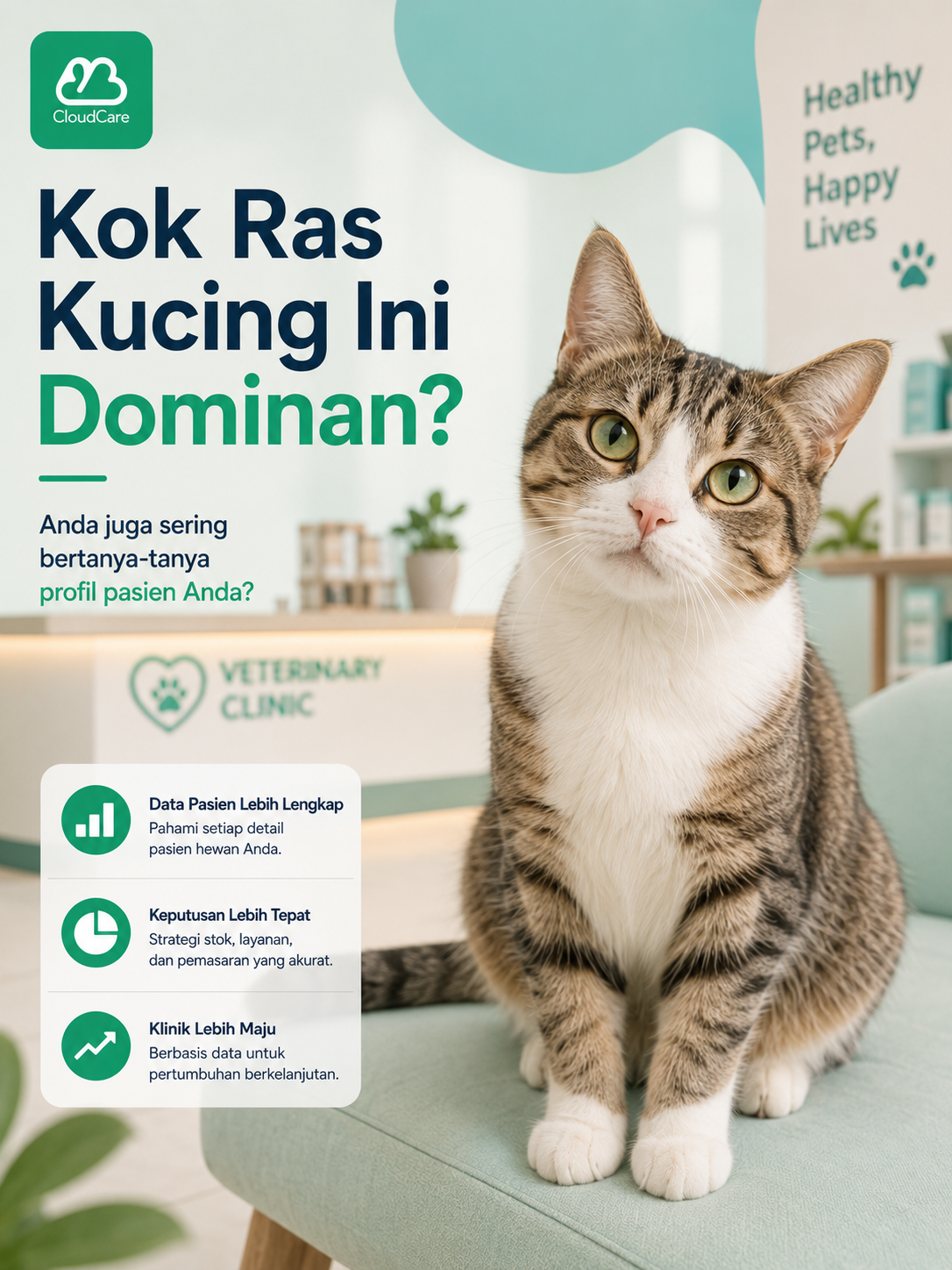 Kucing domestik di ruang tunggu klinik hewan