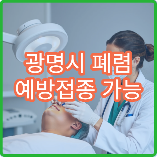 광명시 폐렴 예방접종 가능 병원과 고위험군 접종 안내