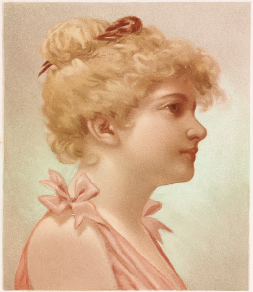 Profile of a woman 18611897
