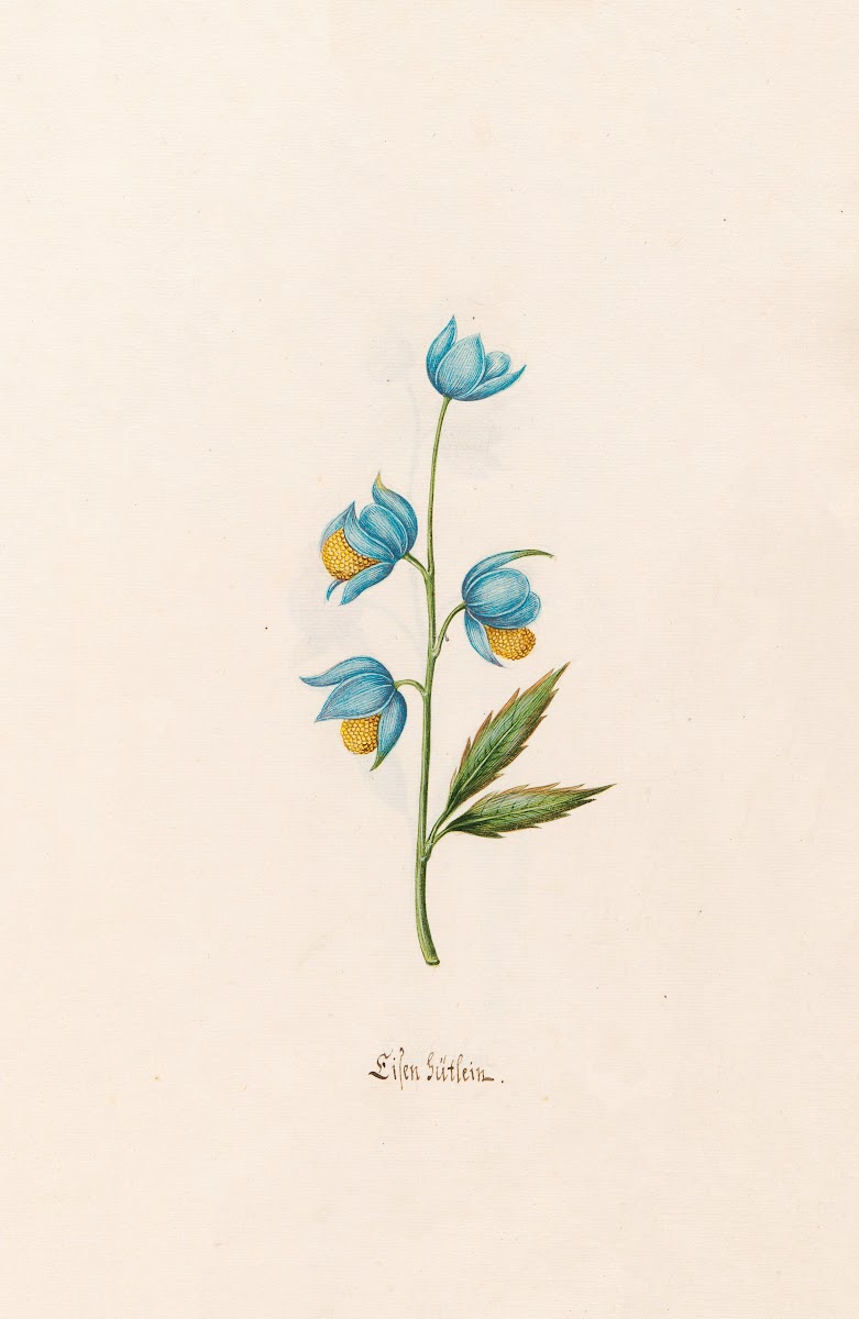 Lilen gütlein 1692