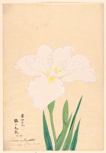 Plumage of the Stork Tsuru no Kegoromo 1910