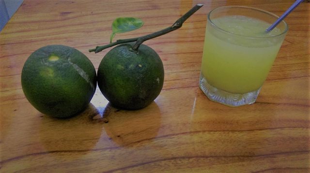 Nước Ép Cam Hạt Nha Đam