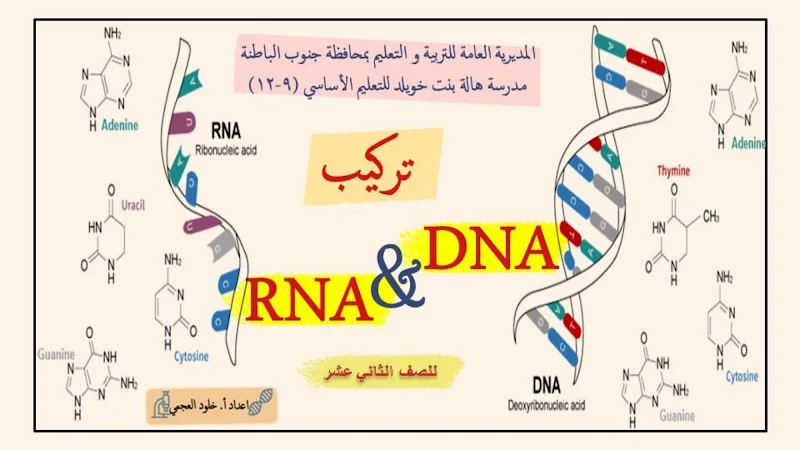 صورة الغلاف