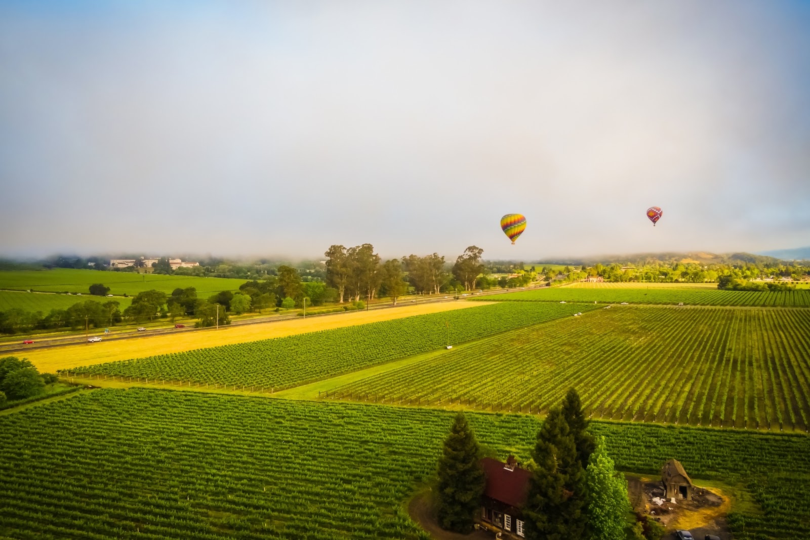 Hot-air balloon floating above the vineyards and rolling landscape of Napa Valley, California.