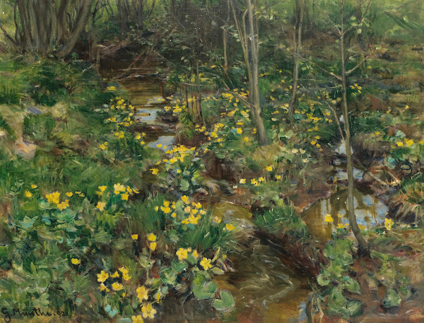Norwegian Marigolds 1892