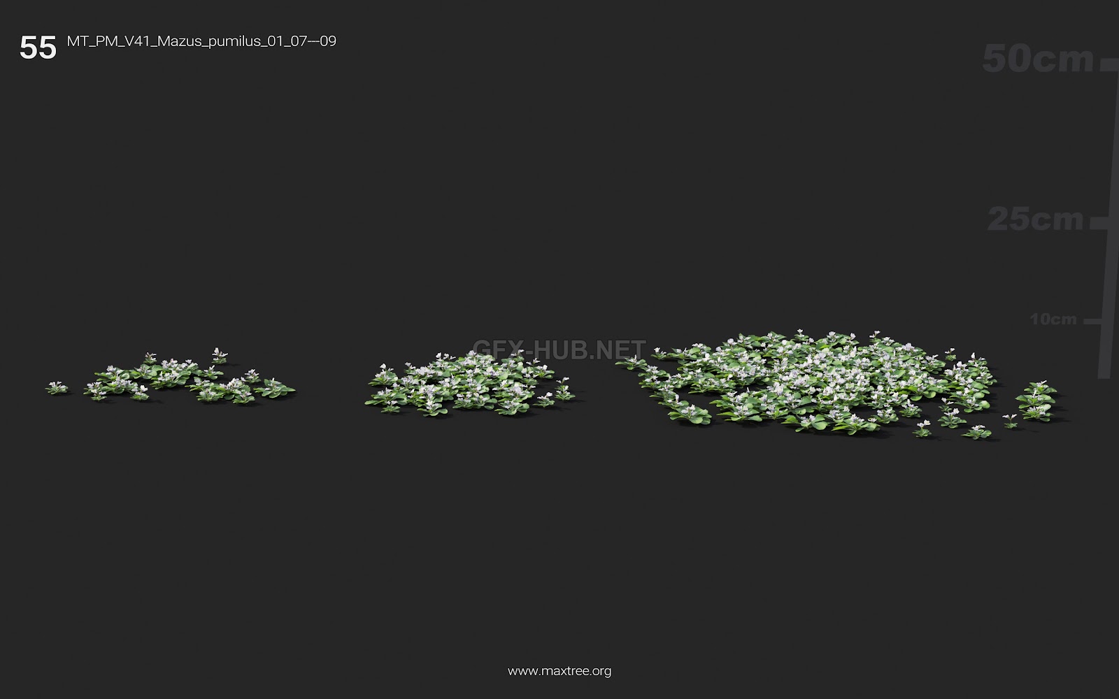 Maxtree - Plant Models Vol.41